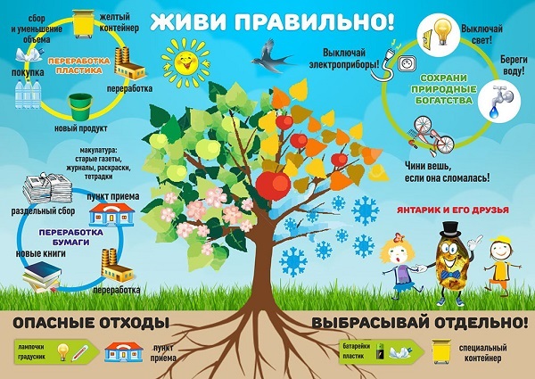 Учимся разделять ТКО вместе!.